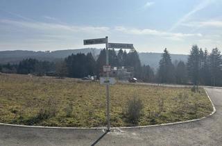 Grundstück zu kaufen in 61479 Glashütten, Traumgrundstück im Taunus – Glashütten / Schloßborn