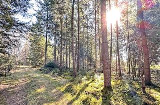 Grundstück zu kaufen in 83104 Tuntenhausen, Waldfläche mit 47.509 m² – naturnaher Bestand mit gesicherter Zufahrt