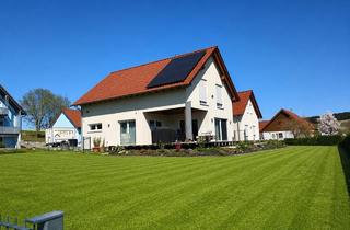 Einfamilienhaus kaufen in 95698 Neualbenreuth, Modernes Immobilienensemble - Zwei Häuser, ein Lebensgefühl