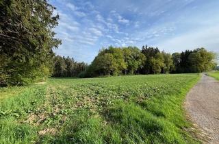 Immobilie kaufen in 92331 Lupburg, Acker- und Waldflächen Gemarkung Degerndorf zum Verkauf: Gebotsverfahren!!!