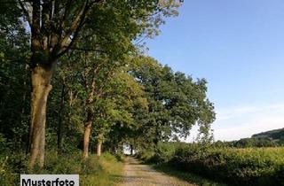 Immobilie kaufen in 54617 Lützkampen, Waldflächen