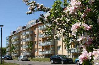 Wohnung mieten in Heinrich-Mann-Straße 46, 18435 Stralsund, ++ Lassen sie die Seele baumeln ++