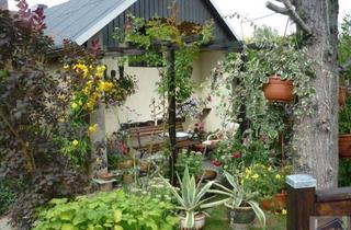 Haus kaufen in 02727 Neugersdorf, Viel Platz in Haus und Garten !!! ***sofort beziehbar***