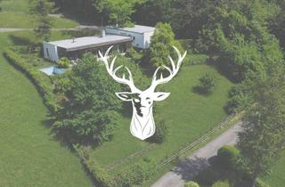 Einfamilienhaus kaufen in 79761 Waldshut-Tiengen, Waldshut-Tiengen - Freistehendes Einfamilienhaus im Bauhausstil in Bestlage von Waldshut zu verkaufen