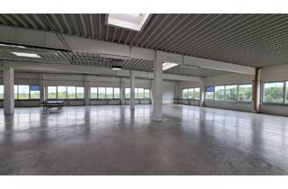 in Röntgenstraße 20b, 21493 Schwarzenbek, Schwarzenbek - Provisionsfreie Gewerbefläche nahe Hamburg: helle Lager-, Produktions- & Bürohalle 450-1.100 m²