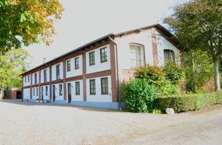 Wohnung mieten in Rehberg, 24986 Mittelangeln, Mittelangeln - Licht , Sonne , Komfort , wohnen , wo es Spaß macht!