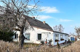 Einfamilienhaus kaufen in 17337 Uckerland, Uckerland - Großes Grundstück mit Haus - ideal für Projekt oder Neubau