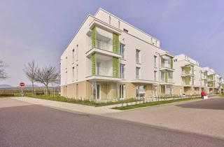 Wohnung kaufen in 76829 Landau, ++ NEU - Moderne, helle 2 ZKBBalkon Wohnung im 2.OG in Feldrandlage in LD-Südwest! ++