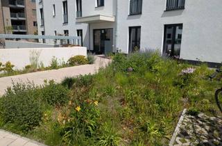 Wohnung mieten in Elisabethgarten, 31135 Hildesheim, 3-Zimmer-Erdgeschosswohnung mit Balkon im Neubaugebiet Ostend