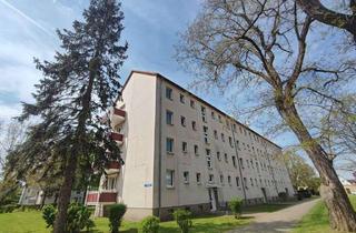Wohnung mieten in Straße Des Friedens 103, 06217 Merseburg, Singlewohnung in Merseburg-Süd