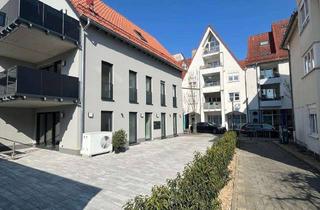 Wohnung mieten in Jahnstraße 11, 64846 Groß-Zimmern, 4-Zimmer-Wohnung in Groß-Zimmern