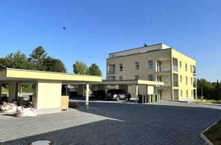 Wohnung mieten in Wiernsheimer Str. 73, 75417 Mühlacker, Helle 3 Zimmer-Wohnung