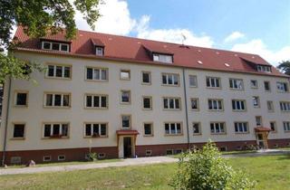 Mehrfamilienhaus kaufen in 04880 Elsnig, Kapitalanlage in Waldrandlage in Elsnig OT Vogelgesang
