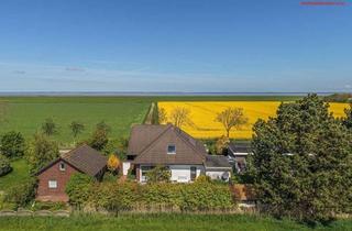 Einfamilienhaus kaufen in 26434 Wangerland, Nordseenah wohnen: Großzügiges Einfamilienhaus mit Einliegerwohnung und Doppelgarage