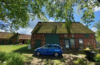 Bauernhaus kaufen in Dannenberger Str. 10, 29451 Dannenberg, Rest-Hof: Bauernhaus, Hof-Stall, großes Grundstück