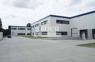 Büro zu mieten in 13581 Spandau, 1.475 m² Neubauhalle mit Rampe, zzgl. 160 m² Büro nahe Altstadt Spandau *2273*