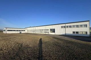Gewerbeimmobilie kaufen in Mittelsdorfer Straße 26, 98634 Kaltensundheim, Großzügiges Gewerbegrundstück mit zwei verbundenen Hallen und Lagerflächen