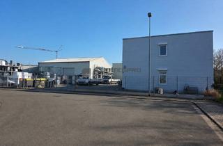 Gewerbeimmobilie kaufen in 67227 Frankenthal, Gewerbeanwesen mit drei Hallen und Bürogebäude mit Verkaufsfläche