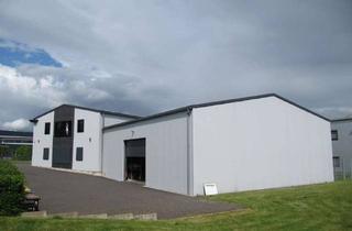 Gewerbeimmobilie mieten in 47533 Kleve, PLATZ ZUM LAGERN Gewerbehalle aus dem Jahre 2017