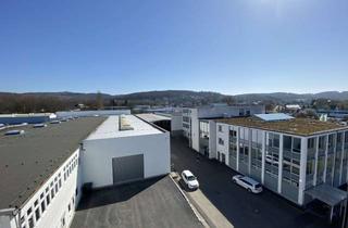 Gewerbeimmobilie mieten in Rolandsecker Weg 30, 53619 Rheinbreitbach, Gewerbehalle: 1.800 qm Tageslicht, Toplage an der B42