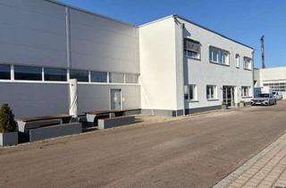 Büro zu mieten in Dieselstraße, 86558 Hohenwart, B300 Moderne Lager- und Produktionshalle mit Büroräumen in Hohenwart