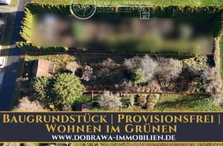 Grundstück zu kaufen in 15757 Halbe, Großzügiges Grundstück mit Baupotenzial und viel Raum für Familie, Garten und Natur