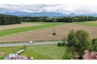 Grundstück zu kaufen in 83139 Söchtenau, Nähe Söchtenau: Großzügiges Baugrundstück für ein Zweifamilienhaus u. Garagen in naturnaher Randlage