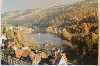 Grundstück zu kaufen in Lanzenbach, 69239 Neckarsteinach, Baugrundstück in Neckarsteinach-Lanzenbach über 707m²