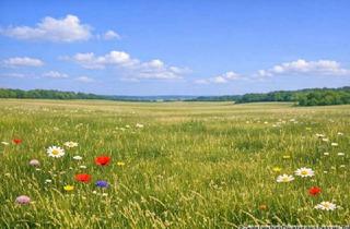 Grundstück zu kaufen in 69412 Eberbach, Landwirtschaftliche Fläche, Bauerwartungsland, Eberbach - 000-4061