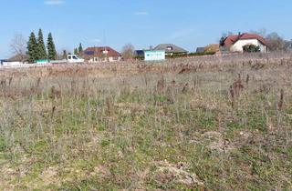 Grundstück zu kaufen in Lavendelstr, 95473 Creußen, Baugrundstück in Creußen, sonnige, Top Infrastruktur im Ort