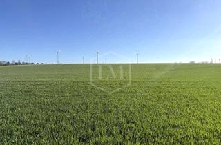 Immobilie kaufen in 41812 Erkelenz, Ackerland in Erkelenz