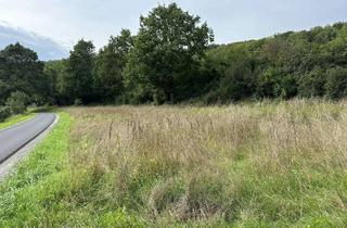 Gewerbeimmobilie kaufen in 97762 Hammelburg, Landwirtschaftsfläche/Wiese bei Hammelburg - Morlesau