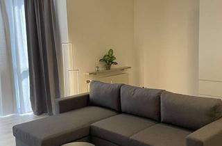 Wohnung mieten in 90614 Ammerndorf, Großzügige modern möblierte 1-Zimmer-Wohnung in Ammerndorf