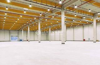 Gewerbeimmobilie mieten in 38518 Gifhorn, Lager - und Logistikhalle mit Überladebrücken direkt in Gifhorn - Metropolregion Hannover!