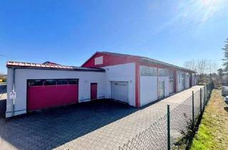 Gewerbeimmobilie kaufen in 67678 Mehlingen, Voll vermietete Gewerbehalle in Mehlingen