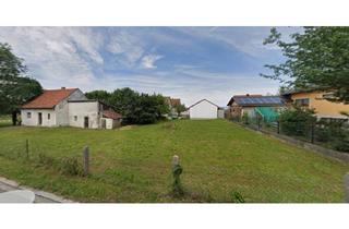 Grundstück zu kaufen in 93089 Aufhausen, Idyllisches, großzügiges, ländliches Grundstück – Natur und Ruhe genießen: vielseitige Bebauung