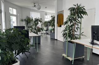 Büro zu mieten in 64287 Darmstadt, Helles Gemeinschaftsbüro im Woogsviertel