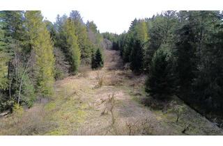 Grundstück zu kaufen in 83125 Eggstätt, Landwirtschaftliche Fläche mit Wald und Wiese