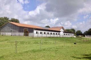 Immobilie kaufen in 25746 Ostrohe, Gepflegte Reitsportanlage in bester Lage zwischen Natur, Stadt und Nordsee