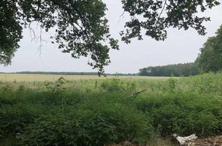 Gewerbeimmobilie kaufen in 15732 Schulzendorf, Preisreduzierung - 19700 m² - strategische Kapitalanlage