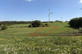 Gewerbeimmobilie kaufen in 52152 Simmerath, Ruhig gelegene Weide- und Wiesenfläche (3.280 m²) zur Pferdehaltung oder landwirtschaftlichen Nutzun