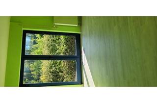 Wohnung mieten in Bahnhofstr, 57641 Oberlahr, Helle Zweizimmerwohnung mit Südterrasse zur Wiedaue