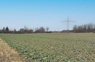 Immobilie kaufen in 84180 Loiching, 15.991 m² Ackerland in der Gemarkung Loiching