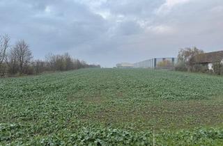 Immobilie kaufen in 94522 Wallersdorf, Grundstück(e) mit Potenzial in lukrativer Lage von Wallersdorf - Nähe A92