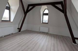 Wohnung mieten in Innere-Herlasgrüner Straße, 08233 Treuen, Attraktive Dachgeschosswohnung
