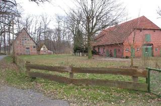 Bauernhaus kaufen in 31613 Wietzen, Wietzen - Großes Bauernhaus mit diversen Nebengebäuden