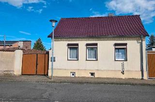 Einfamilienhaus kaufen in 06464 Frose, Seeland - Schönes kleines Einfamilienhaus mit großem Grundstück