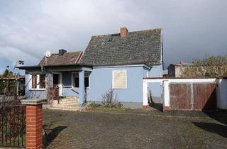 Einfamilienhaus kaufen in 39343 Erxleben, Erxleben - Einfamilienhaus