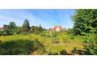 Einfamilienhaus kaufen in 38559 Wagenhoff, Wagenhoff - Haus mit großem Grundstück im schönen Wagenhoff - ohne Makler