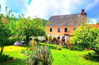 Einfamilienhaus kaufen in 37620 Halle, Halle - Provisionsfrei von Privat! Schönes Einfamilienhaus mit Garten